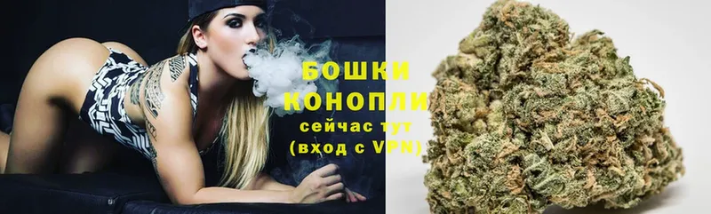 Бошки марихуана Ganja  где купить наркотик  Змеиногорск 